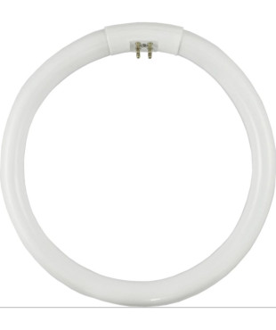 22W ΦΘΟΡΙΣΜΟΥ ΚΥΚΛΙΚΗ Τ9 L20