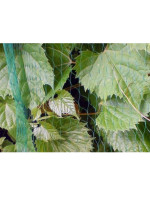 ΔΙΧΤΥ ΠΡΟΣΤΑΣΙΑΣ ΠΟΥΛΙΩΝ 2Χ4m 