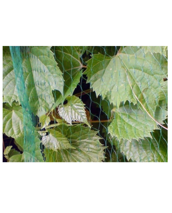 ΔΙΧΤΥ ΠΡΟΣΤΑΣΙΑΣ ΠΟΥΛΙΩΝ 2Χ4m 