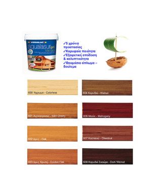 750ml ΒΕΡΝΙΚΙ ΕΜΠΟΤΙΣΜΟΥ ΣΑΤΙΝΕ AQUALASUR GEL TOTAL CARE 5σε1 